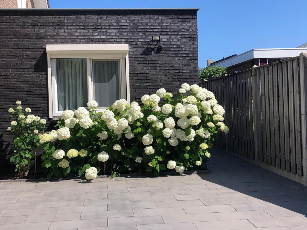 Zoutelande Koddelaan Vakantiewoning Екстер'єр фото