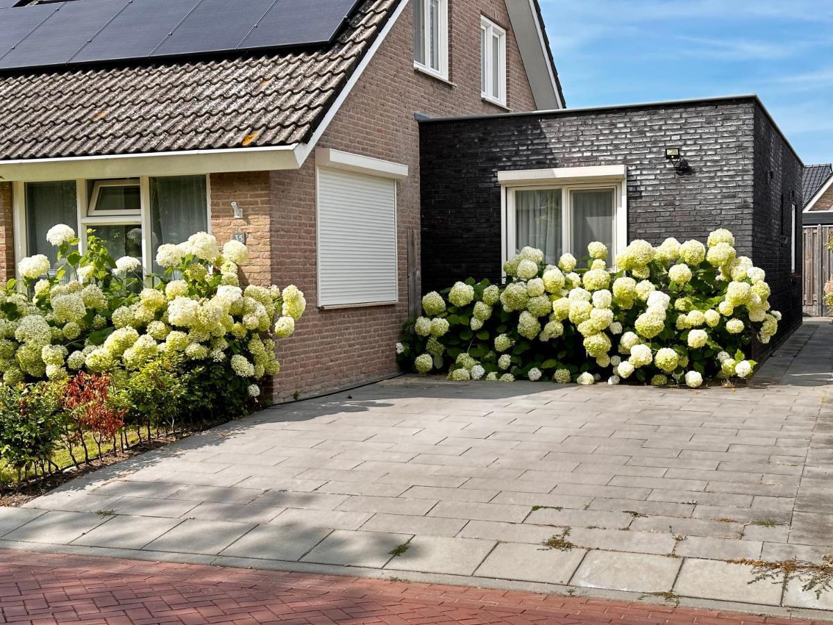 Zoutelande Koddelaan Vakantiewoning Екстер'єр фото